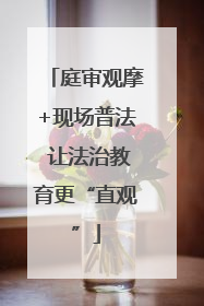 庭审观摩+现场普法 让法治教育更“直观”