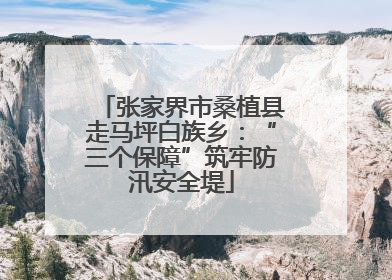 张家界市桑植县走马坪白族乡：“三个保障”筑牢防汛安全堤
