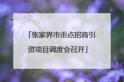 张家界市重点招商引资项目调度会召开
