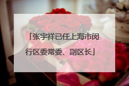 张宇祥已任上海市闵行区委常委、副区长