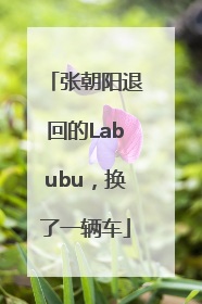 张朝阳退回的Labubu，换了一辆车