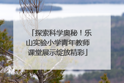 探索科学奥秘！乐山实验小学青年教师课堂展示绽放精彩