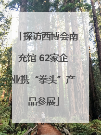探访西博会南充馆 62家企业携“拳头”产品参展
