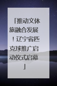 推动文体旅融合发展！辽宁省匹克球推广启动仪式启幕