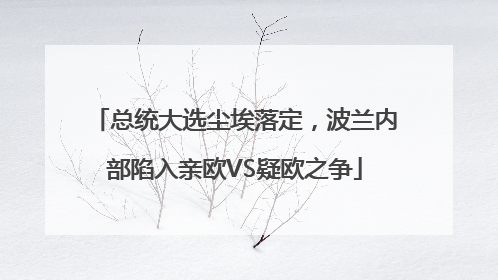 总统大选尘埃落定，波兰内部陷入亲欧VS疑欧之争