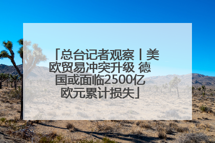 总台记者观察丨美欧贸易冲突升级 德国或面临2500亿欧元累计损失
