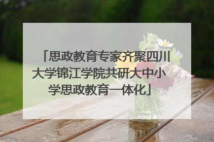 思政教育专家齐聚四川大学锦江学院共研大中小学思政教育一体化