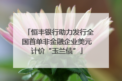 恒丰银行助力发行全国首单非金融企业美元计价“玉兰债”