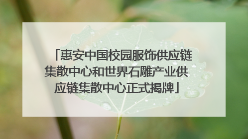 惠安中国校园服饰供应链集散中心和世界石雕产业供应链集散中心正式揭牌