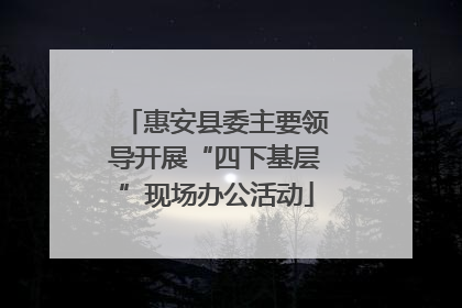 惠安县委主要领导开展“四下基层”现场办公活动