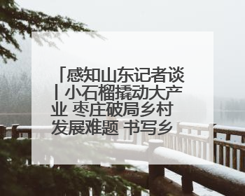 感知山东记者谈丨小石榴撬动大产业 枣庄破局乡村发展难题 书写乡村共富答卷