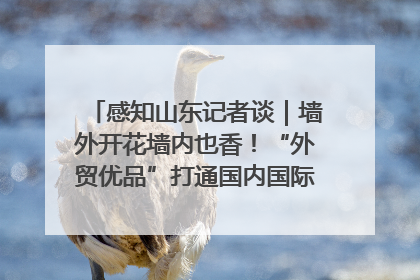 感知山东记者谈｜墙外开花墙内也香！“外贸优品”打通国内国际市场“旋转门”