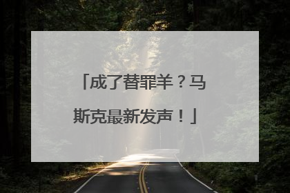 成了替罪羊？马斯克最新发声！