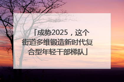 成势2025，这个街道多维锻造新时代复合型年轻干部梯队