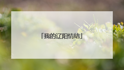 我的辽阳情结