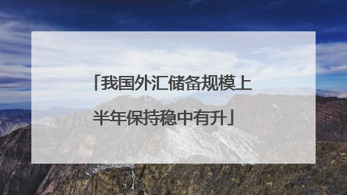 我国外汇储备规模上半年保持稳中有升
