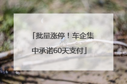 批量涨停！车企集中承诺60天支付
