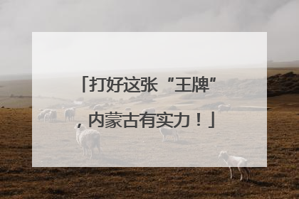 打好这张“王牌”，内蒙古有实力！