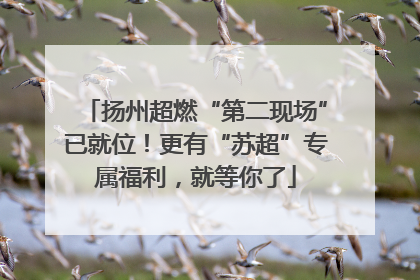 扬州超燃“第二现场”已就位！更有“苏超”专属福利，就等你了