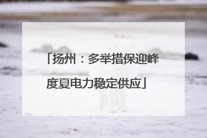 扬州：多举措保迎峰度夏电力稳定供应