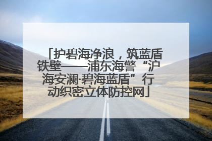 护碧海净浪，筑蓝盾铁壁——浦东海警“沪海安澜·碧海蓝盾”行动织密立体防控网