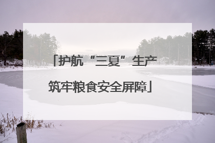 护航“三夏”生产 筑牢粮食安全屏障