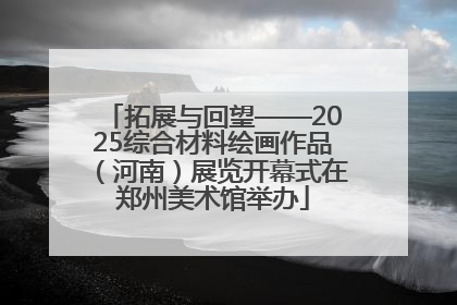 拓展与回望——2025综合材料绘画作品（河南）展览开幕式在郑州美术馆举办