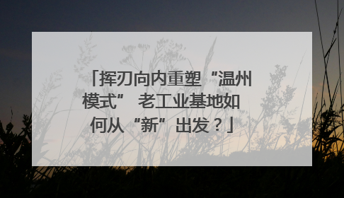 挥刃向内重塑“温州模式” 老工业基地如何从“新”出发？