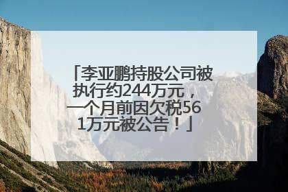 李亚鹏持股公司被执行约244万元，一个月前因欠税561万元被公告！