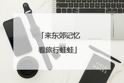 来东郊记忆 看旅行蛙蛙