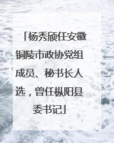 杨秀颀任安徽铜陵市政协党组成员、秘书长人选，曾任枞阳县委书记