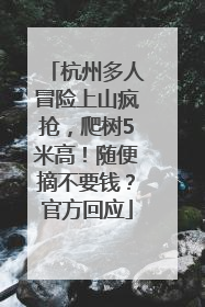 杭州多人冒险上山疯抢，爬树5米高！随便摘不要钱？官方回应