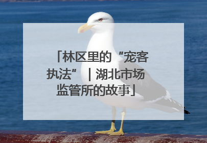 林区里的“宠客执法”｜湖北市场监管所的故事