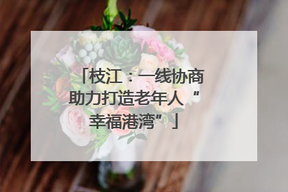 枝江：一线协商助力打造老年人“幸福港湾”