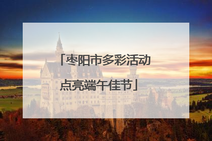 枣阳市多彩活动点亮端午佳节