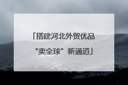 搭建河北外贸优品“卖全球”新通道