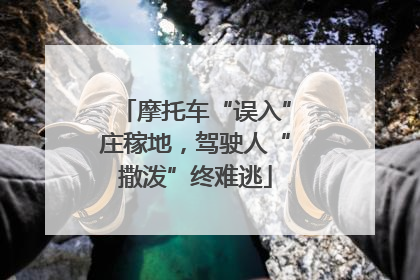摩托车“误入”庄稼地，驾驶人“撒泼”终难逃