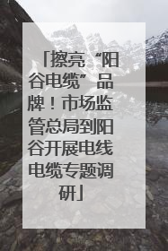 擦亮“阳谷电缆”品牌！市场监管总局到阳谷开展电线电缆专题调研