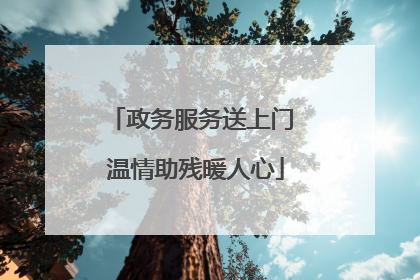 政务服务送上门 温情助残暖人心