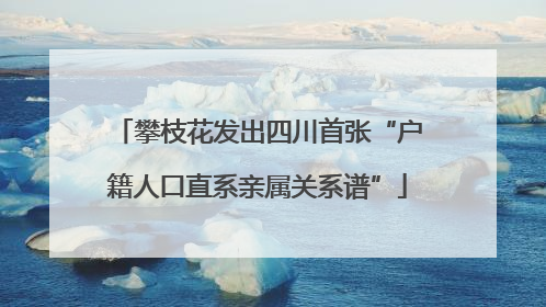 攀枝花发出四川首张“户籍人口直系亲属关系谱”