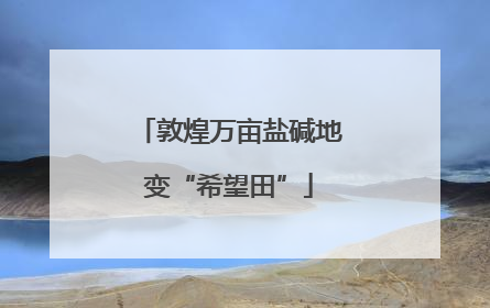 敦煌万亩盐碱地变“希望田”