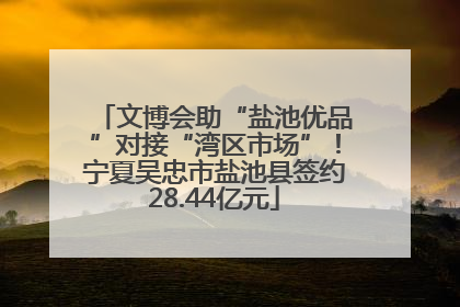 文博会助“盐池优品”对接“湾区市场”！宁夏吴忠市盐池县签约28.44亿元