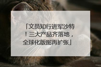 文员知行进军沙特！三大产品齐落地，全球化版图再扩张