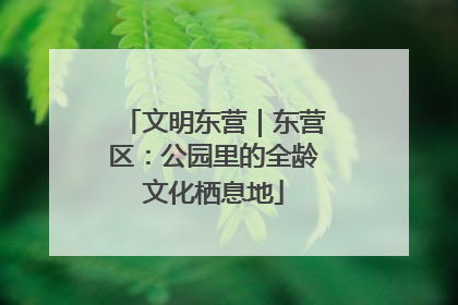 文明东营｜东营区：公园里的全龄文化栖息地