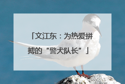 文江东：为热爱拼搏的“警犬队长”