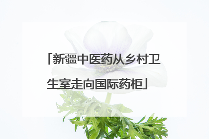 新疆中医药从乡村卫生室走向国际药柜
