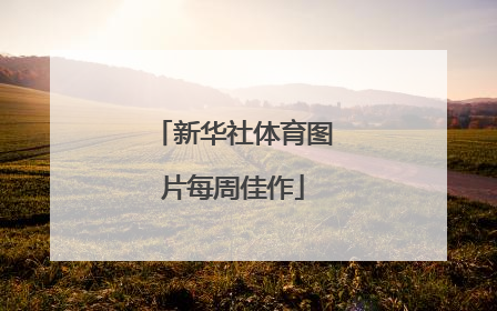 新华社体育图片每周佳作