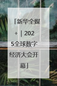 新华全媒+｜2025全球数字经济大会开幕