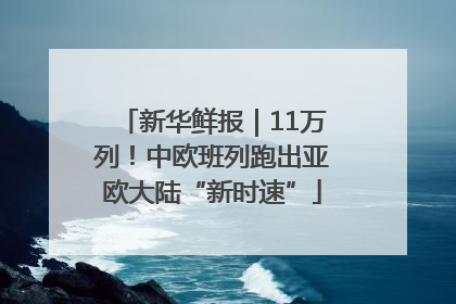 新华鲜报｜11万列！中欧班列跑出亚欧大陆“新时速”