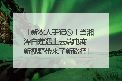 新农人手记⑤丨当湘潭白莲遇上云端电商 新视野带来了新路径